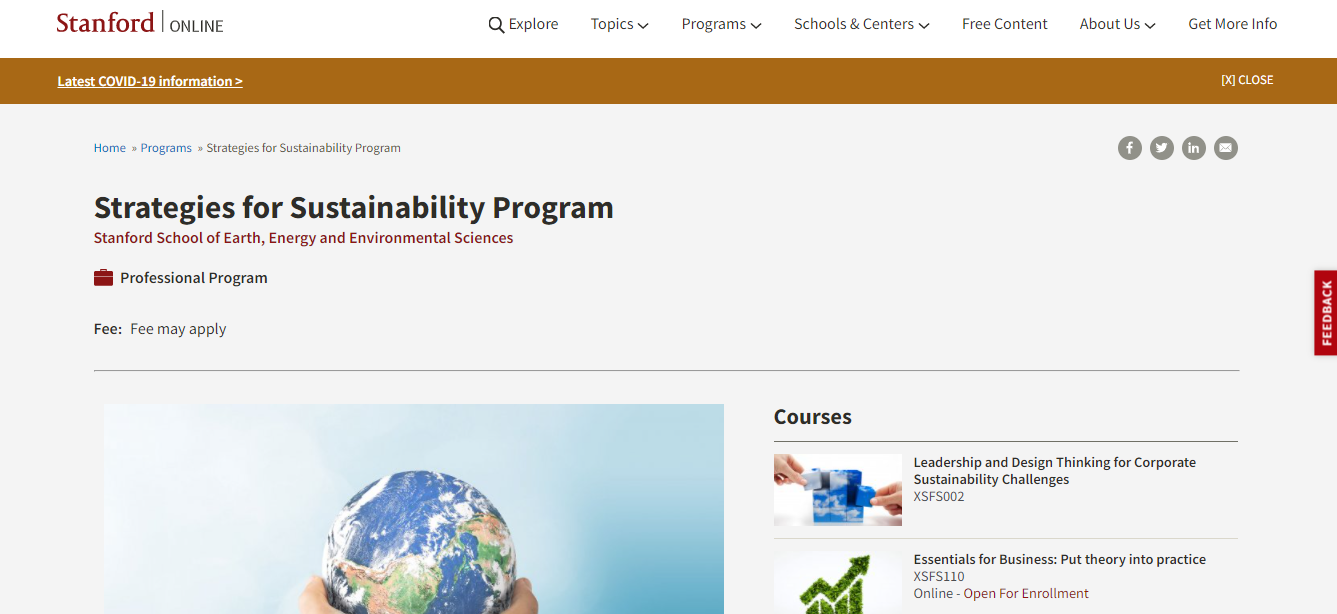 Strategies for Sustainability Program