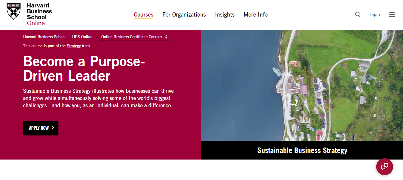 Sustainable Business Strategy Course